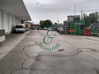 Zona