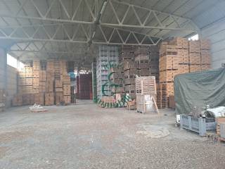 Magazzino