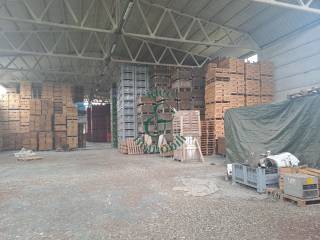 Magazzino