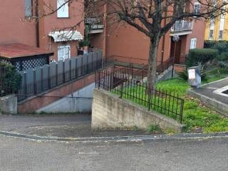 Zona