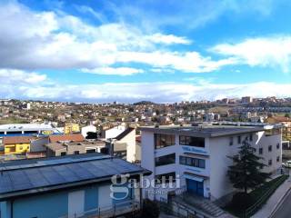 Vista