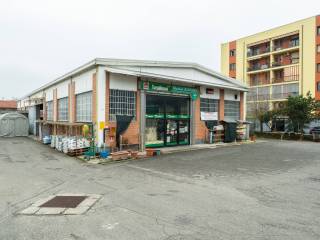 Zona