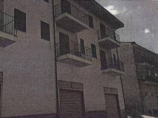 Zona