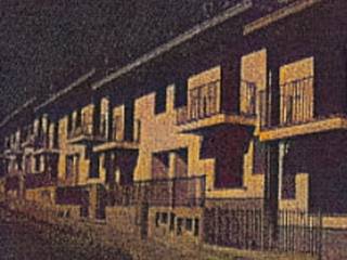 Zona