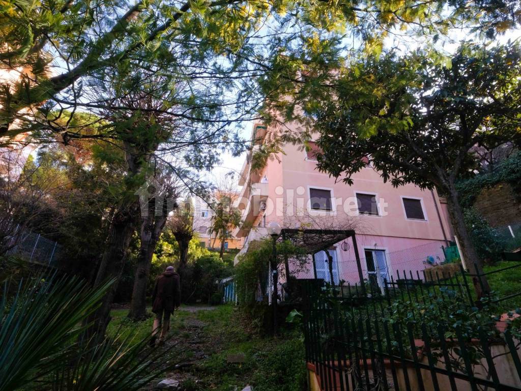 Giardino