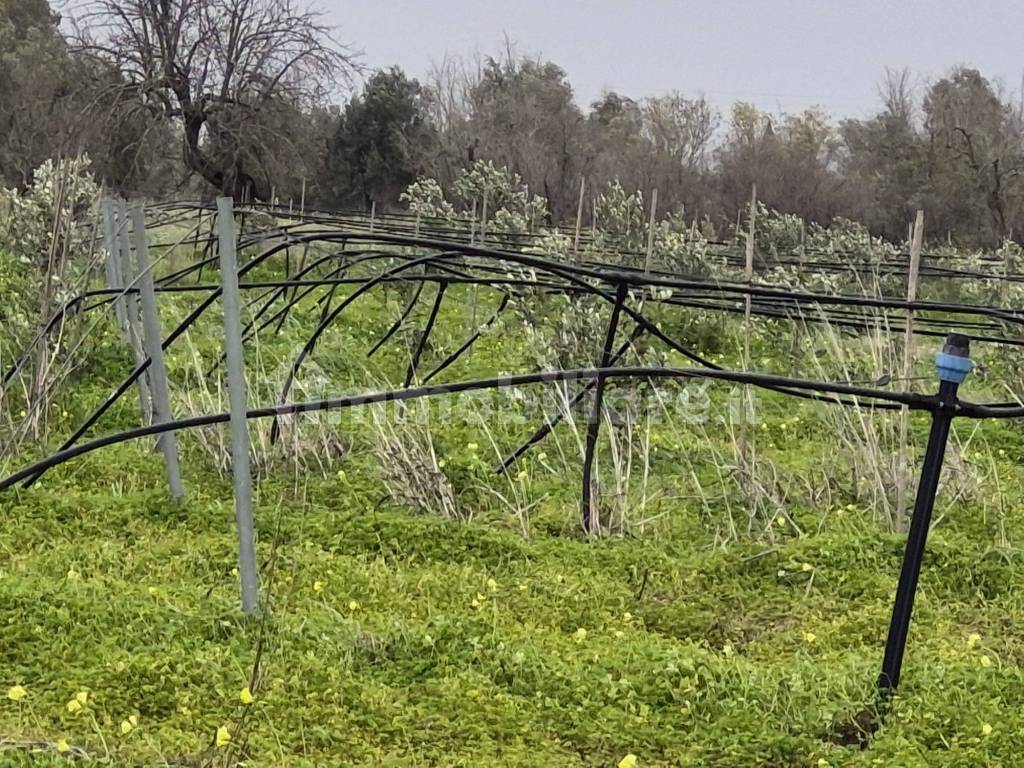 Terreno