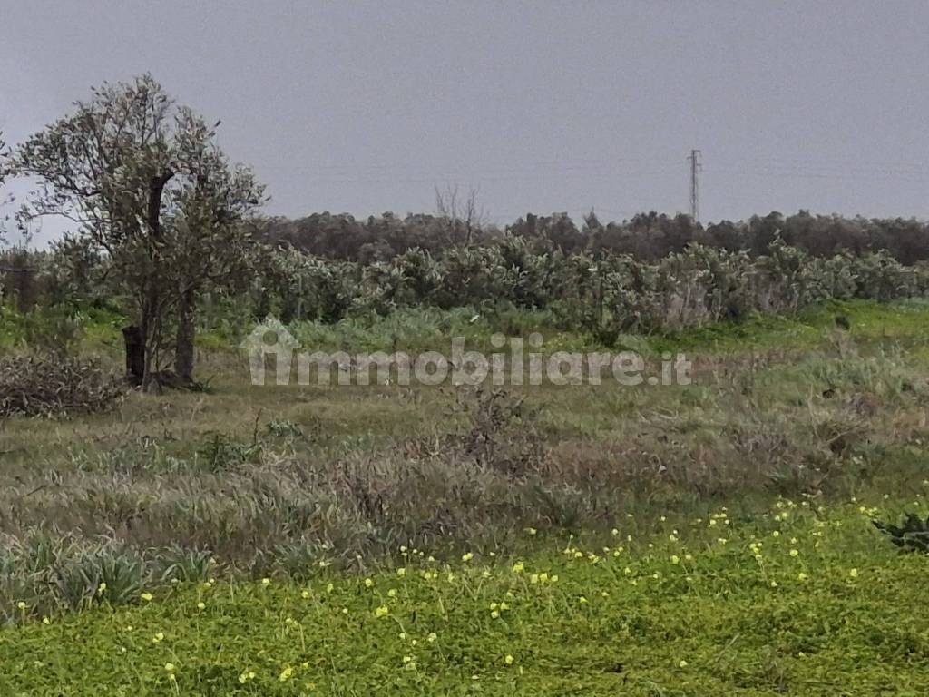 Terreno