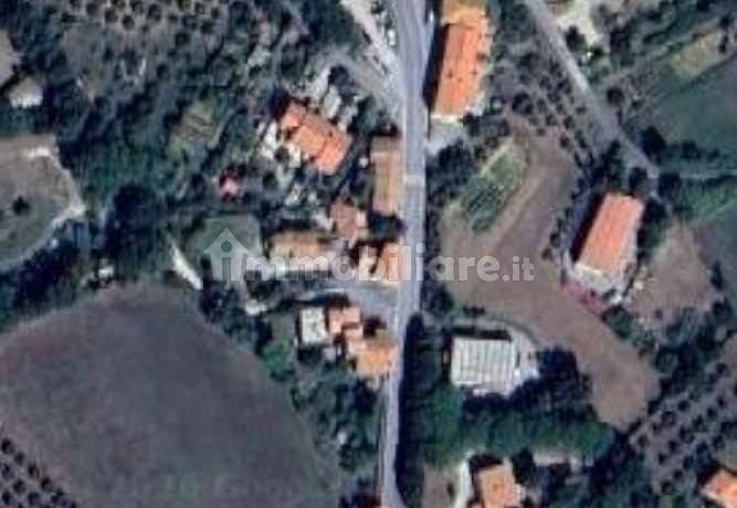 Appartamento in vendita a Scansano