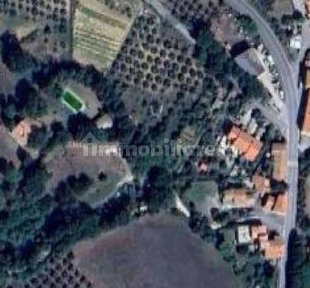 Appartamento in vendita a Scansano