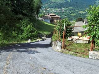 Zona