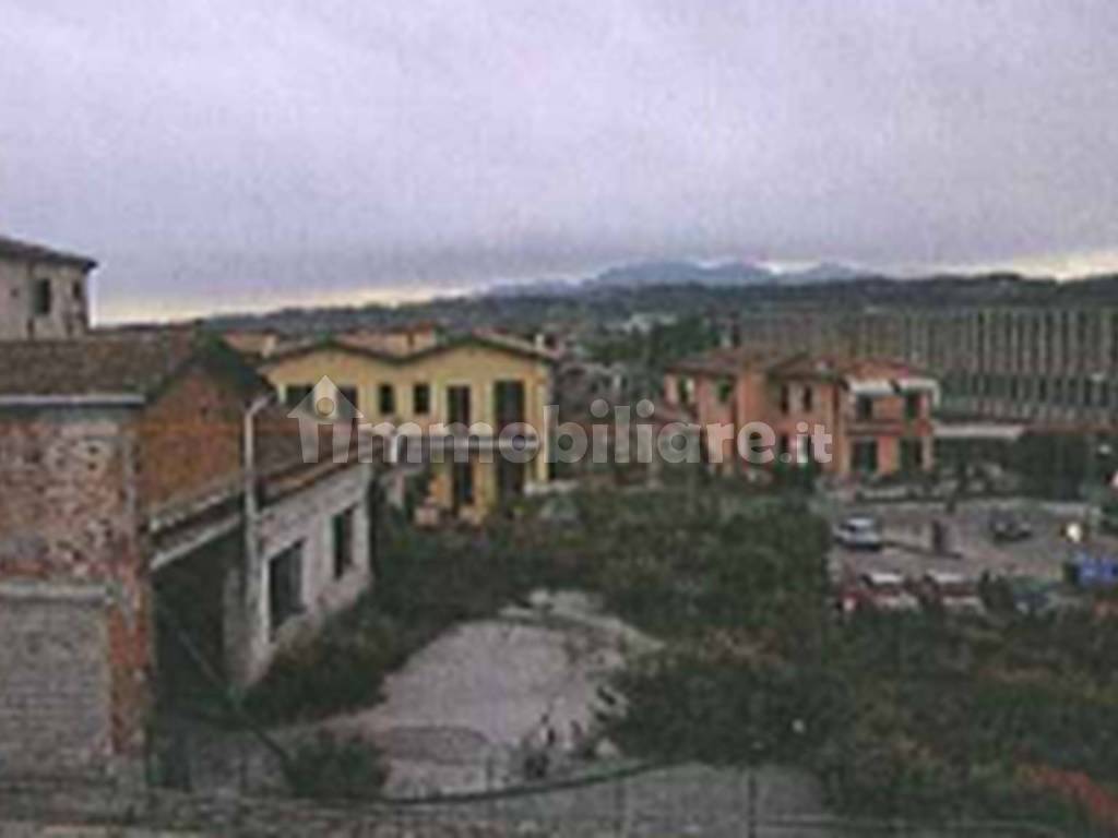 Zona