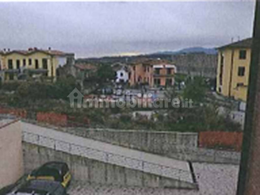 Zona