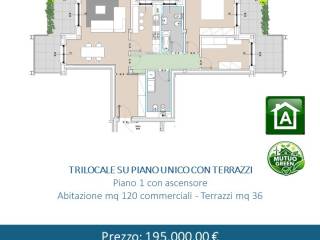 Planimetria