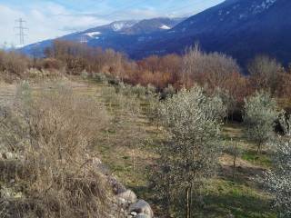 Terreno