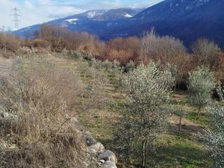 Terreno