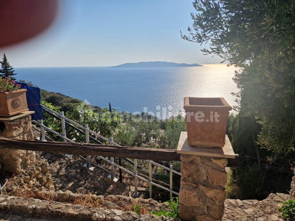 Vista