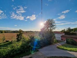 Vista