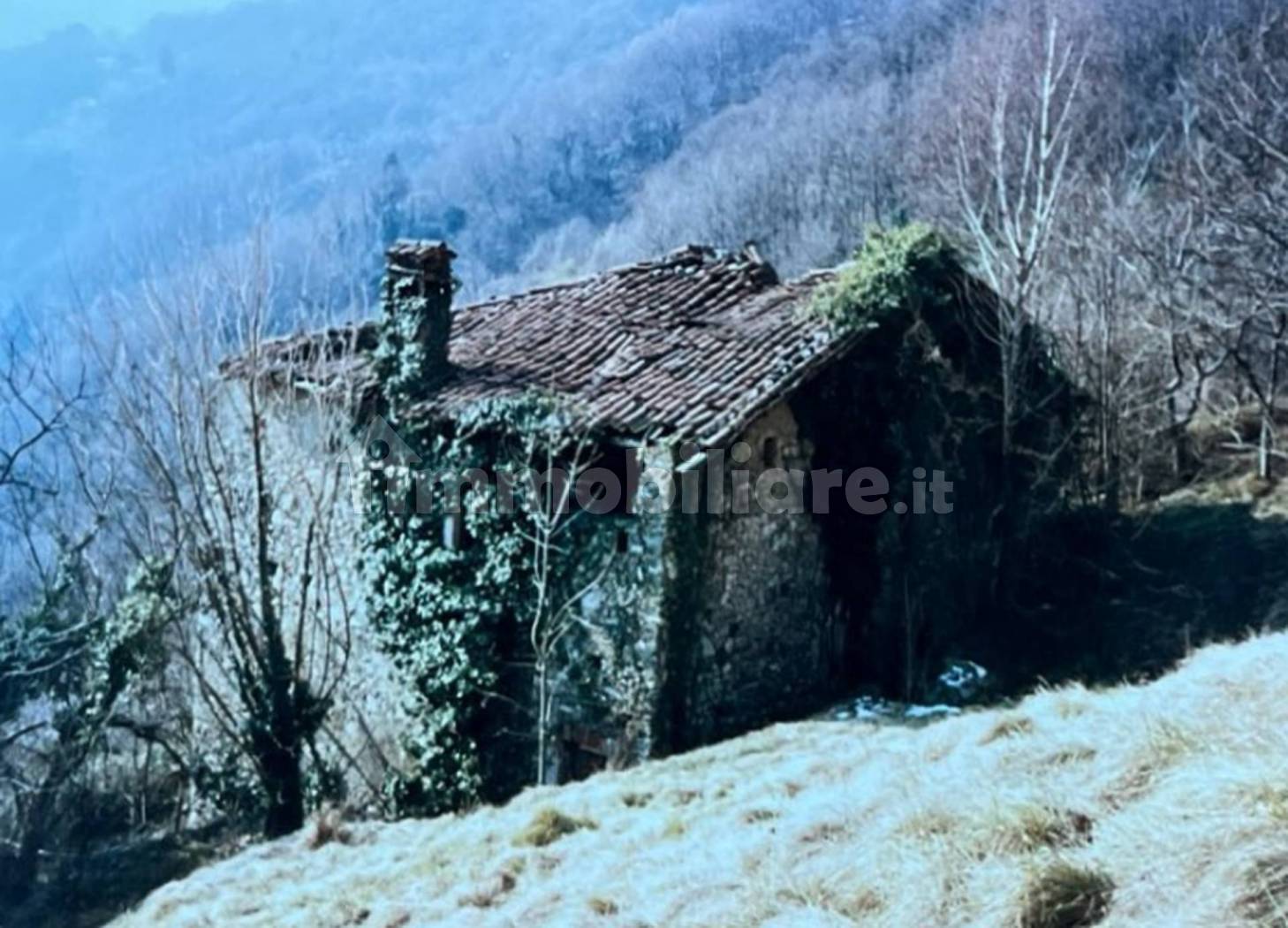 Appartamento in vendita a Plesio