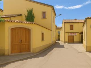 Zona