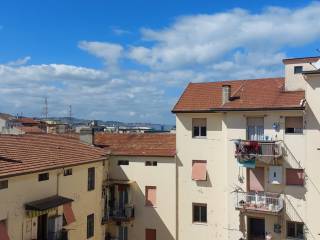 Vista