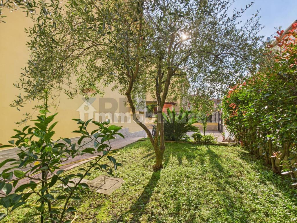 Giardino