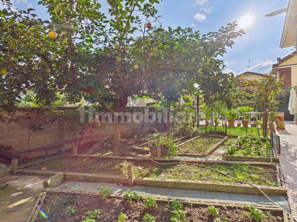 Giardino