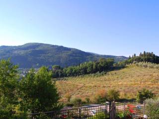 Vista