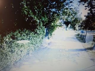 Zona