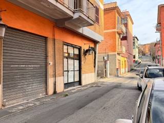 Zona