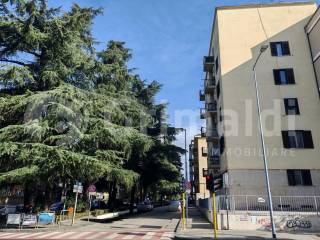 Zona