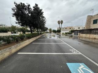 Zona