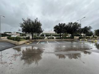 Zona