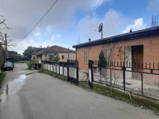 Zona
