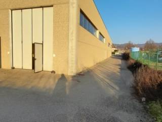 Zona