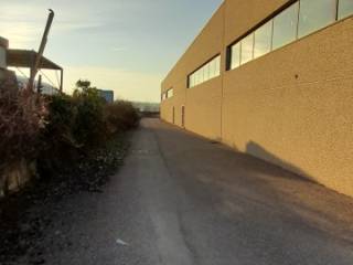 Zona