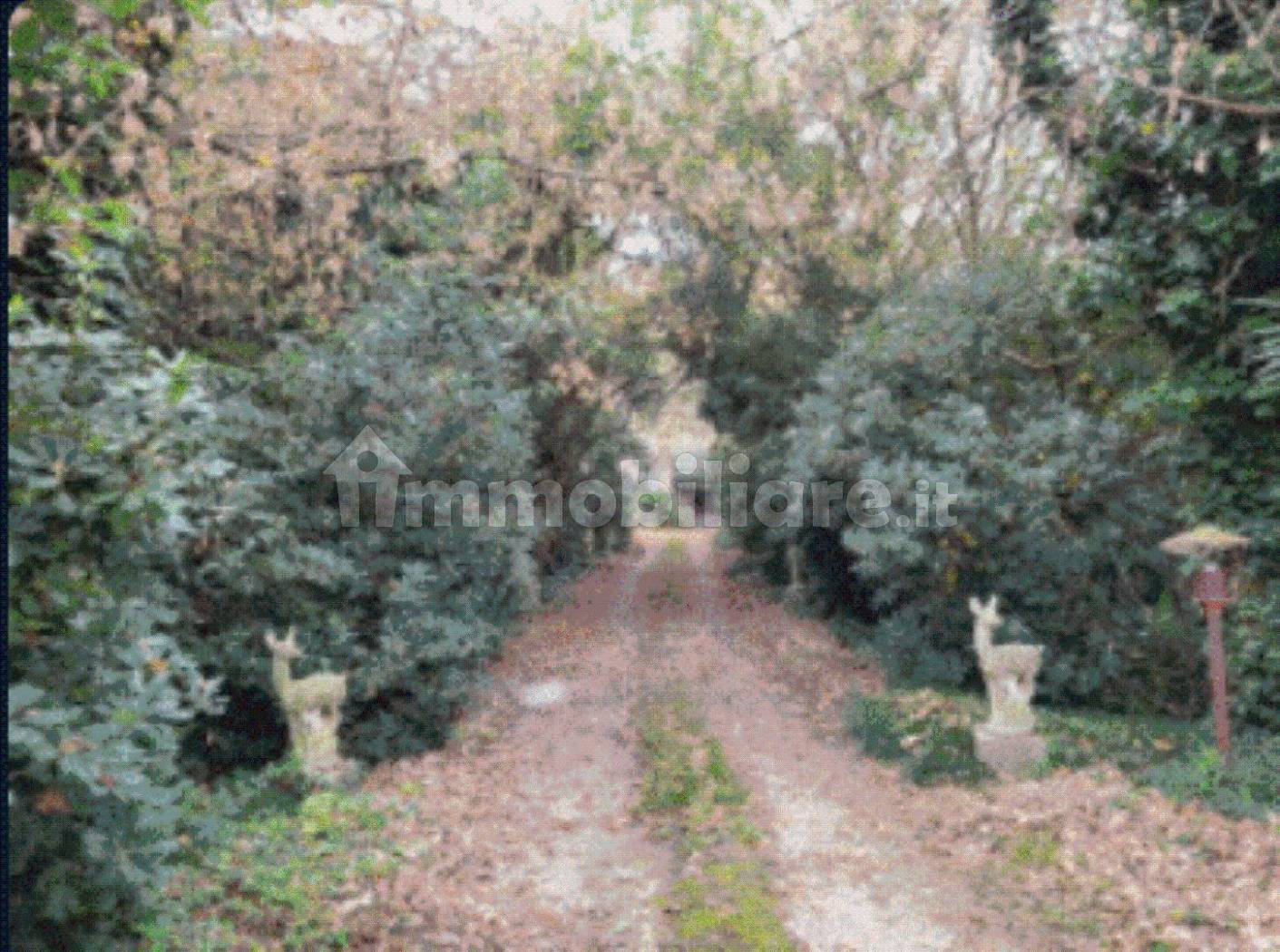 Appartamento in vendita a Loreo