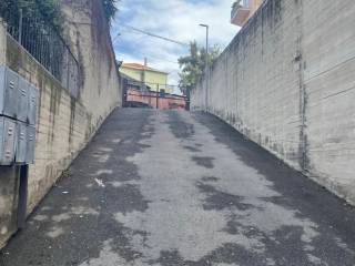 Ingresso