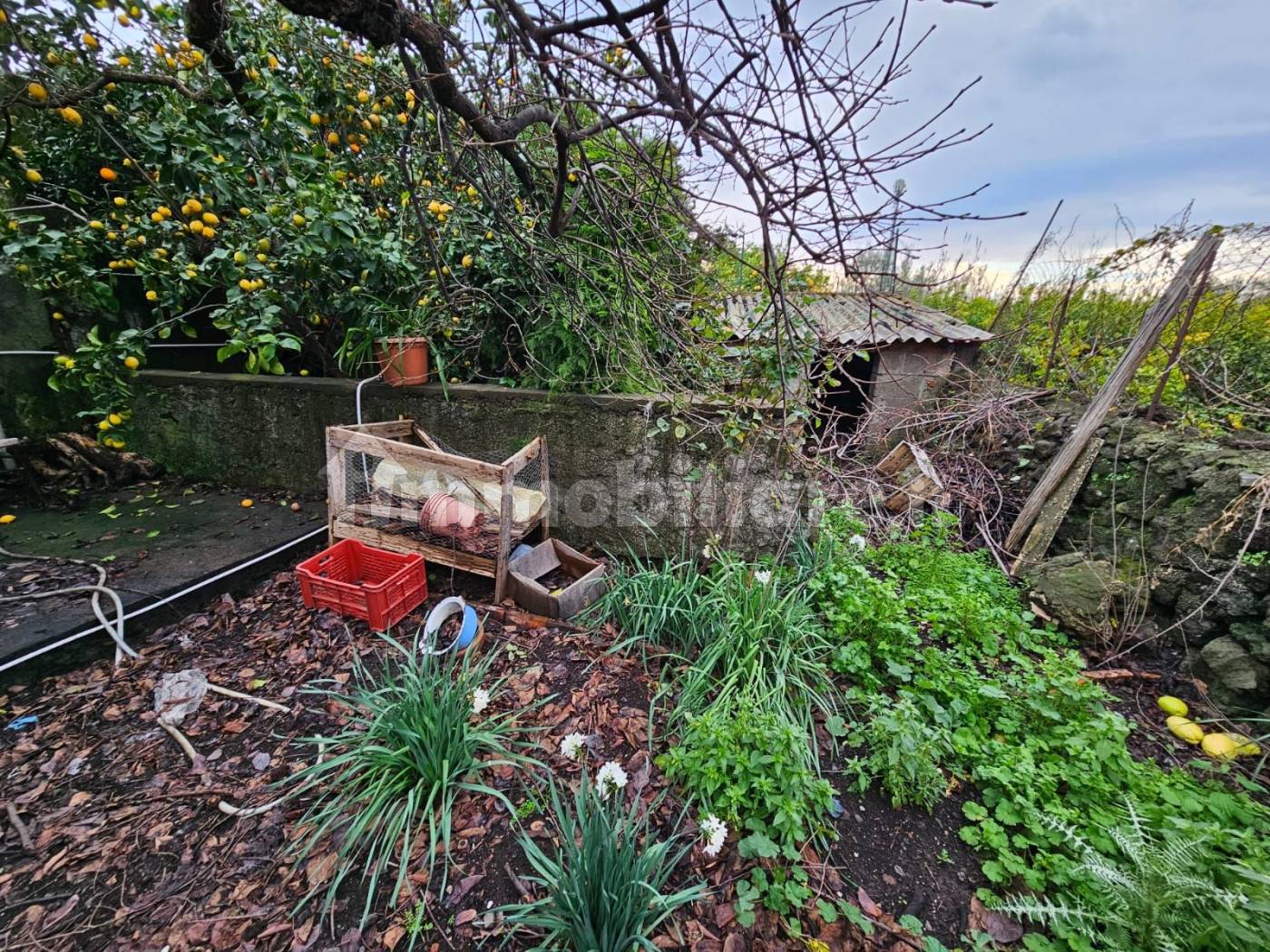 Rustico - Casale - foto 4