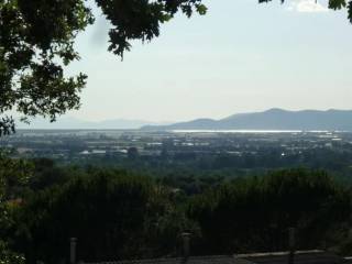 Vista