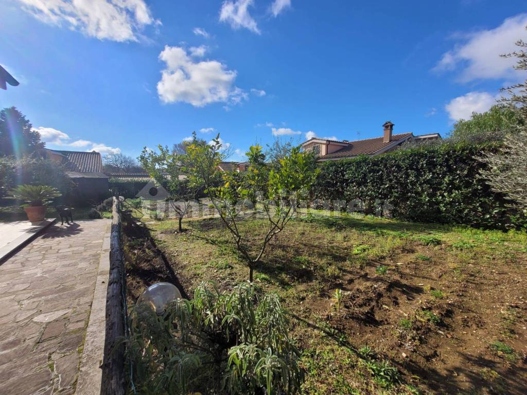 Terreno