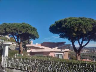 Vista