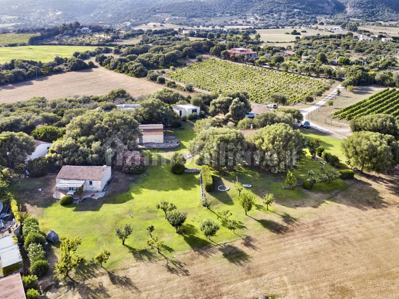 Rustico - Casale - foto 5