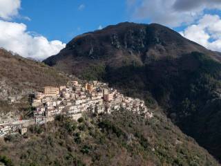 Vista