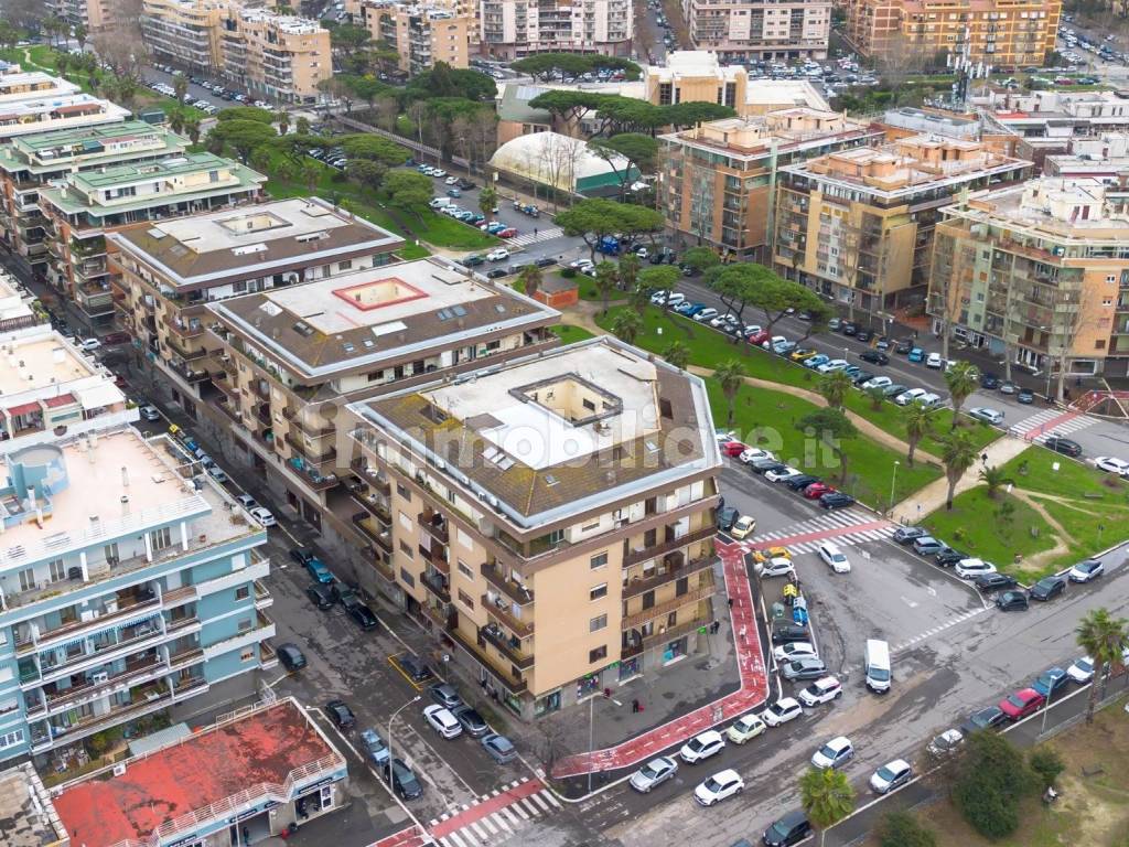Zona