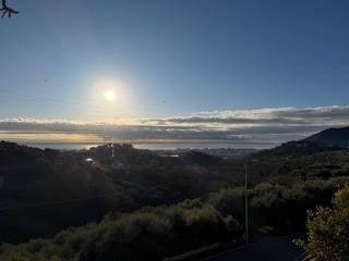 Vista