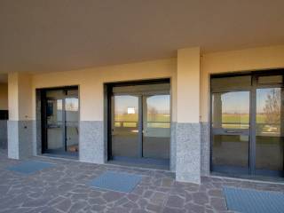 Ingresso