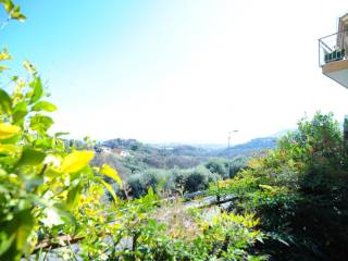 Vista