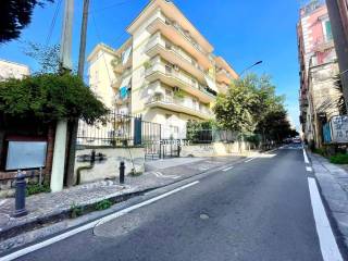 Zona