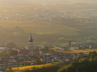 Vista