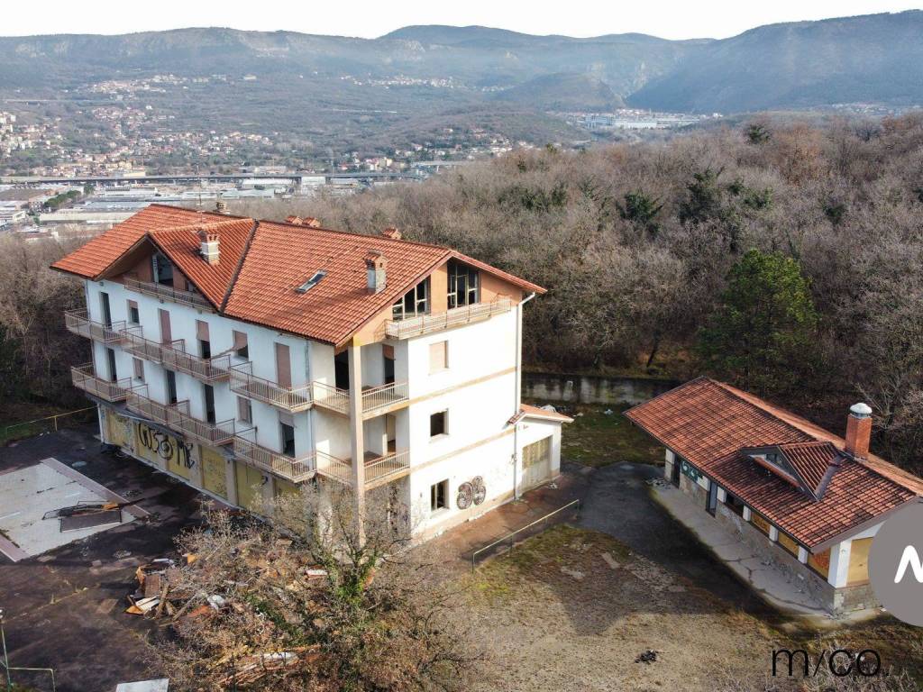 Vista